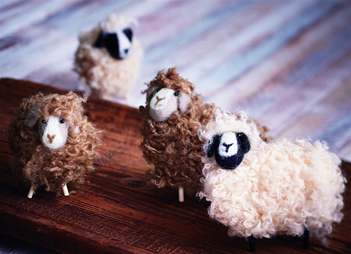wooly-sheep.jpg
