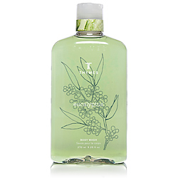 Thymes Body Lotion | Lavender 9.25 oz