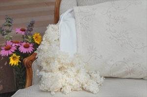 Washable and customizable organic pillow