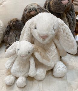 Bashful Bunny