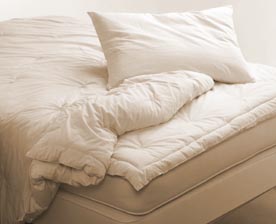 Pure&Local™ Wool Comforter - Regular Weight - Twin