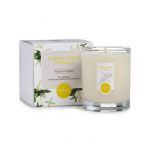 DANI Soy Wax Candle