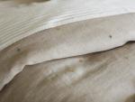 Scattered Embroidered Linen Duvets & Shams