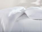 Organic Cotton Jersey Sheets - White