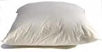 Wooley Down Pillow with Organic Cotton Sateen Cover